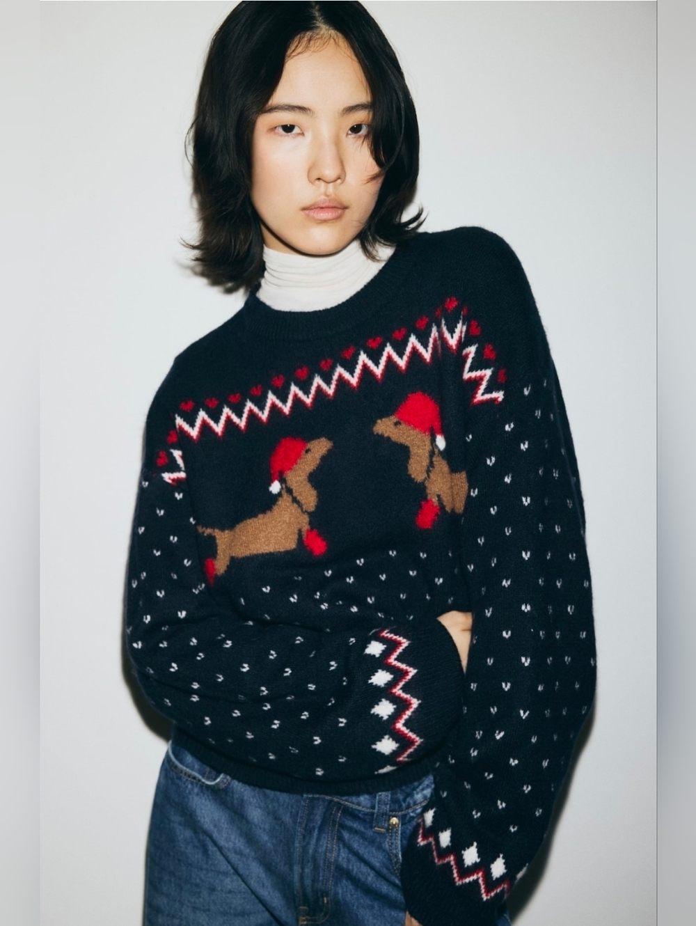 New H&-M Dogs Oversized Jacquard-knit Sweater Blue/dachshunds
